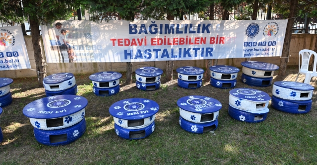 GADEM, sokak hayvanları için seferber