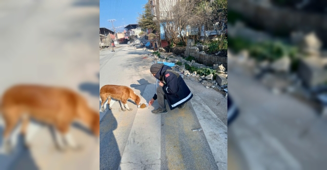 Afet Bölgesindeki Can Dostlara Osmangazi Şefkati