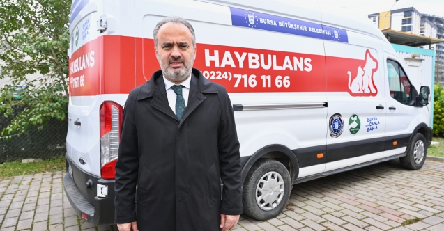 Patili Dostlara ‘Haybulans’