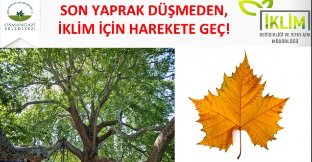 OSMANGAZİ, İKLİM DEĞİŞİKLİĞİ İLE MÜCADELEDE YOL HARİTASINI BELİRLEDİ