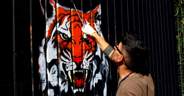 Bursa, grafiti ile renkleniyor