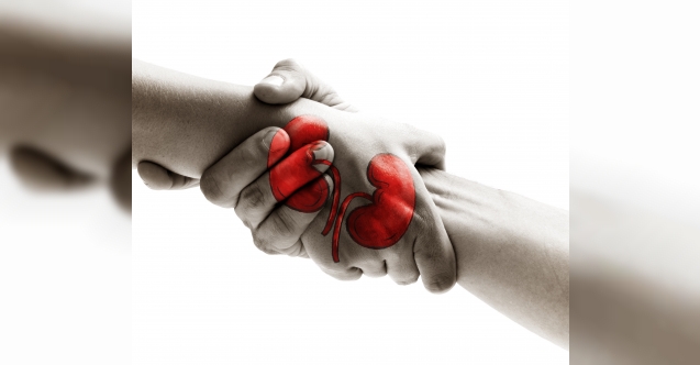 Organ Bağışını Artırmak için Neler Yapılabilir?