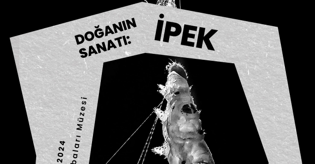 Tofaş Bursa Anadolu Arabaları Müzesi’nde Yeni Fotoğraf Sergisi“doğa’nın Sanatı: İpek”