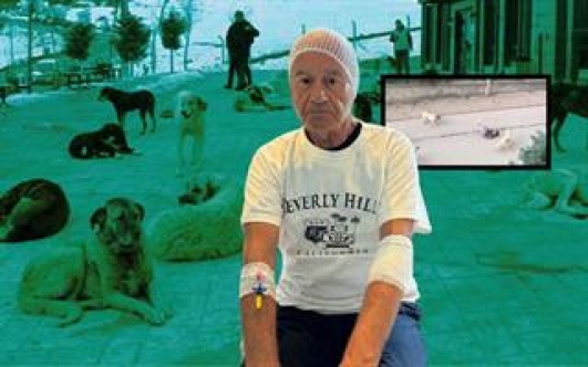 Çeşme'de başıboş köpek dehşeti!
