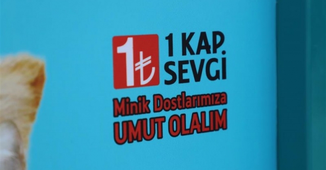 Fatih’te Vatandaşlar 1 TL Karşılığında Sokak Hayvanlarını Besliyor