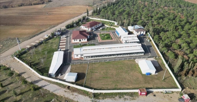 266 Can Dostu yeni yuvasına kavuştu