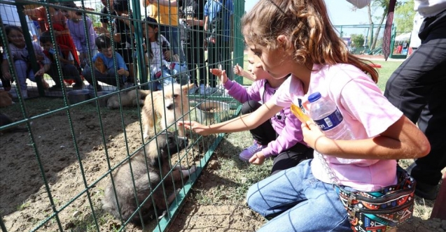 Hayvanları Koruma Gününe Renkli Kutlama
