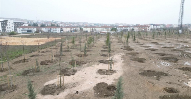 167 Fidan Engelliler İçin Toprakla Buluştu