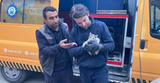 Kaputa sıkışan yavru kedi kurtarıldı