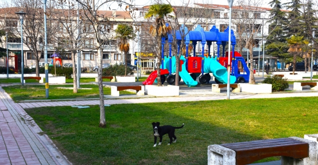 Gemlik'te çevre düzenleme çalışmaları devam ediyor