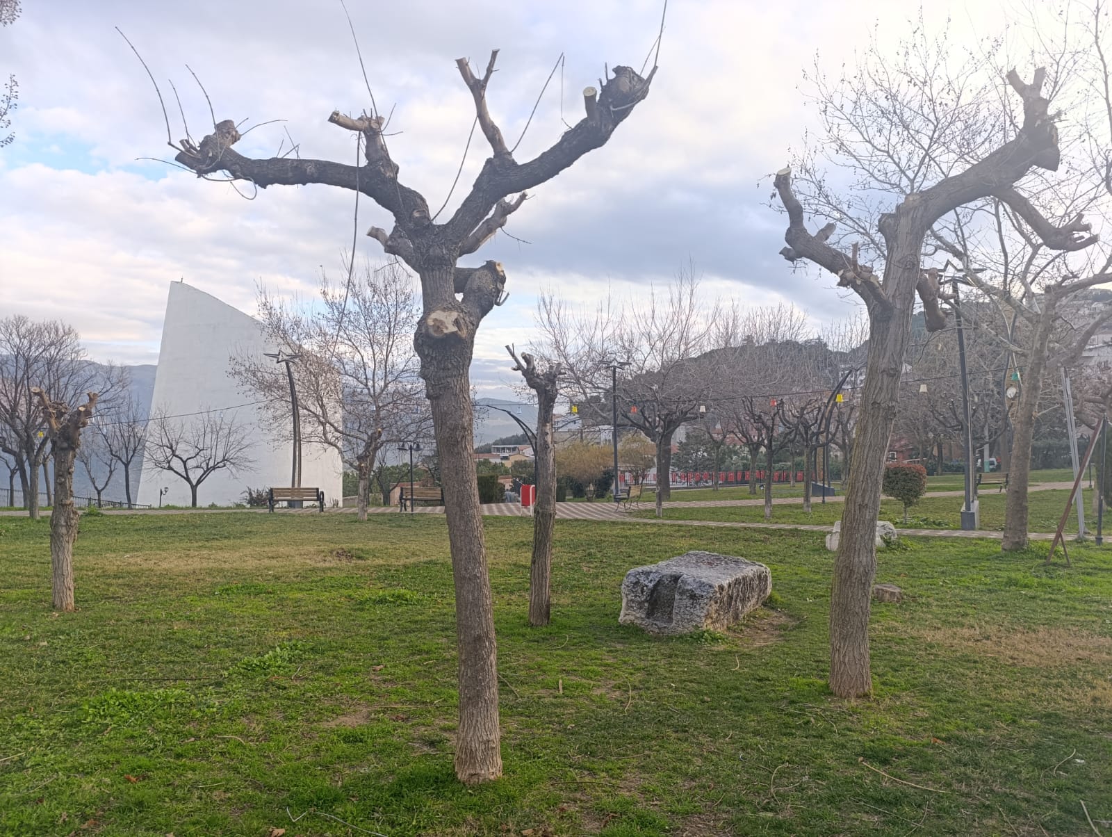 Park ve Yeşil Alanlarda Budama Çalışmaları Sürüyor