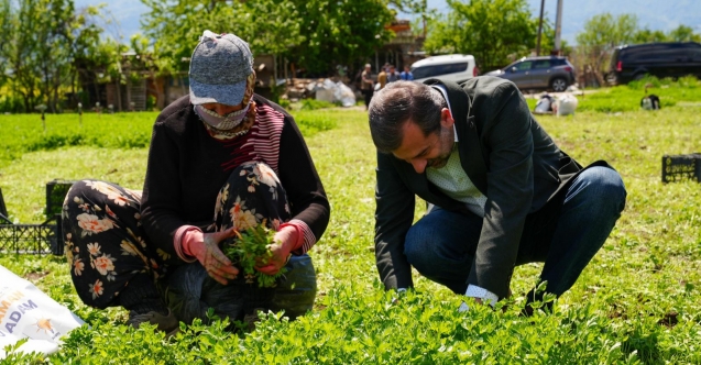 Gürsu Belediyesi'nden sürdürülebilir tarım projesi