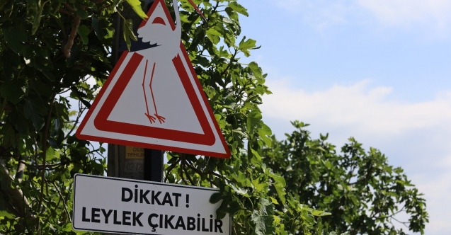 Bursa Leylek Şenliği, Karacabey#039;de başladı