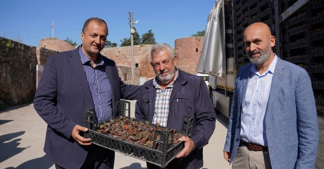 İznik Belediyesi#039;nden Kurban Bayramı#039;na özel mezarlık düzenlemesi