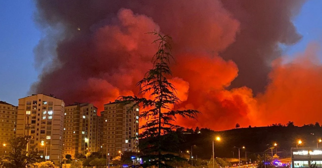 Bursa Valiliğinden orman yangını açıklaması