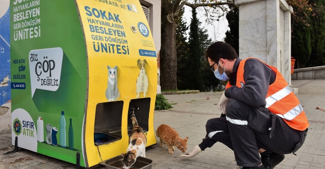Yıldırım’da patili dostlara kış desteği: 100 yeni kedi evi