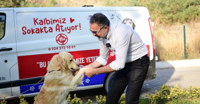 Can dostları sıcak yuvalarını dijital platformda arıyor