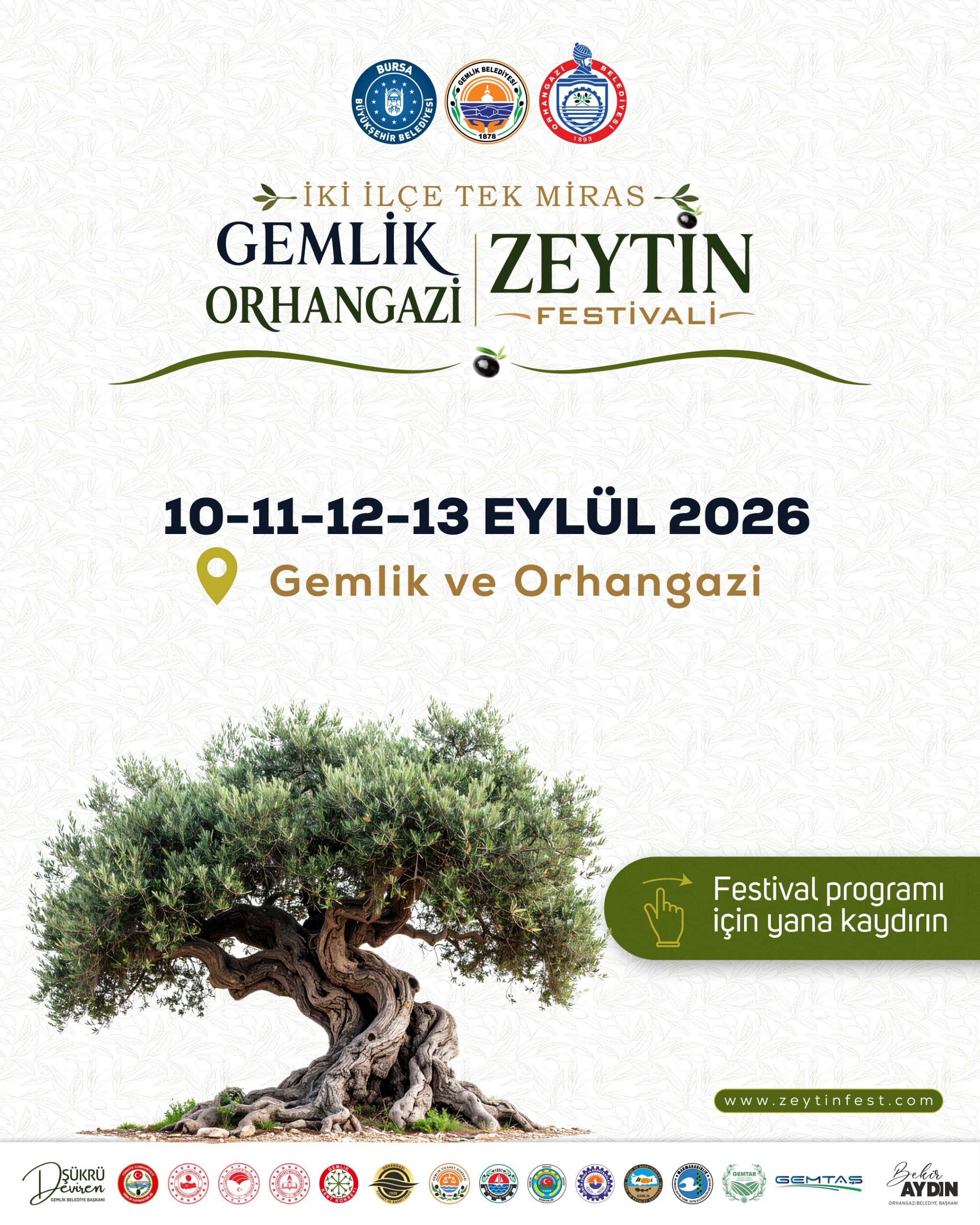 Zeytin kültürü Gemlik ve Orhangazi’de yeniden hayat bulacak