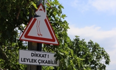Bursa Leylek Şenliği, Karacabey#039;de başladı
