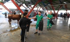 Osmangazililer kurban ibadetlerini hijyenik ortamlarda yerine getirdi