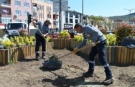 Gemlik’te yeşil alanlar büyüyor