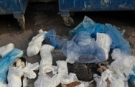 Çöp poşetlerinden 33 ölü kedi çıktı