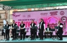 Tarih ve musiki Erguvan Bayramı’nda buluştu