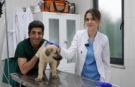 Gürsu’daki merkez can dostlara umut oluyor