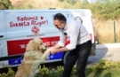 Can dostları sıcak yuvalarını dijital platformda arıyor
