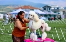 Gemlik’te patili dostlar podyumda