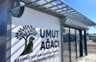 Her kurdele bir yuva: Umut Ağacı can dostlara açıldı