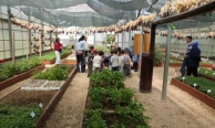 Osmangazi’de uygulamalı tarım eğitimi