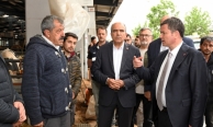 Osmangazi’de Kurban Bayramı hazırlıkları tamamlandı