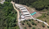 Gemlik'te can dostlara güvenli yuva