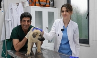 Gürsu’daki merkez can dostlara umut oluyor