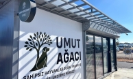 Her kurdele bir yuva: Umut Ağacı can dostlara açıldı