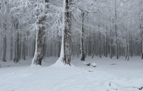 Soğuk hava Bursa’yı vurdu: yükseklerde kar, merkezde buzlanma riski