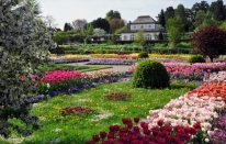 Münih Botanik Bahçesi... Doğaseverler için bir cennet