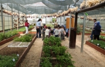 Osmangazi’de uygulamalı tarım eğitimi