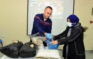 Yıldırım iş öğretiyor