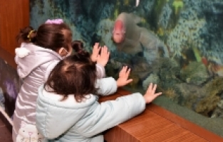 Önce karne sonra eğlence