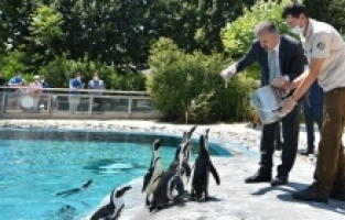 Hayvanat Bahçesi’nde çarşamba günleri ‘Halk Günü’