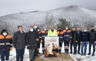 Sokak hayvanları Bursa’da sahipsiz değil