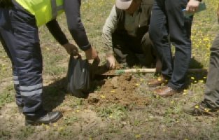 Tarlada anında analiz, anında verim ve tasarruf