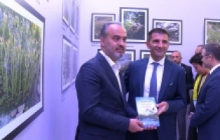 Endemik hafıza koruma altında