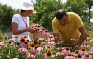 Bitki İşleme Tesisi Projesi’ne BEBKA’dan hibe