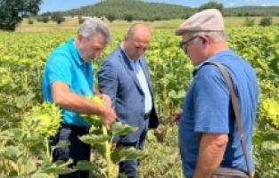 CHP heyeti çayır tırtılı istilasının yaşandığı Yenişehir’de