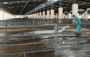 Kurban Satış Yerlerindeki Atıklar Temizlendi