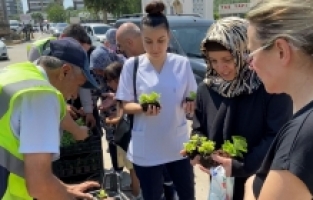 Mezarlık ziyaretçilerine ücretsiz çiçek