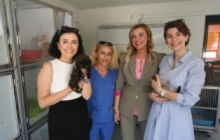 Nilüfer’de hasta ve yaralı sokak kedilerine donanımlı klinik